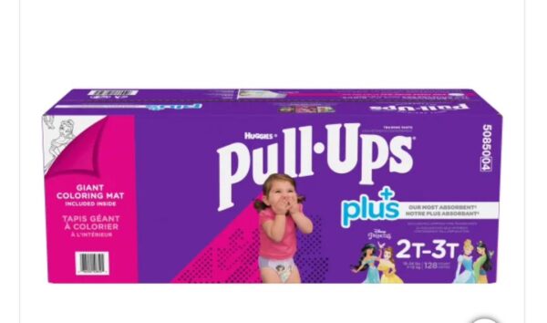 Pull Ups 2T 3T - Filles