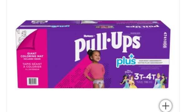 Pull Ups 3T 4T - Filles